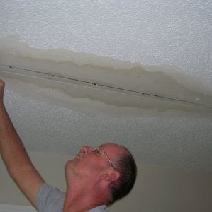 Meet your Posher, Jerry